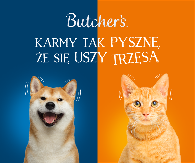 NAV agency odpowiada za kampanię Butcher’s Pet Care